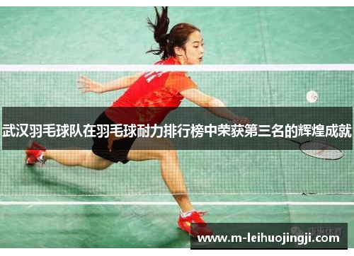 武汉羽毛球队在羽毛球耐力排行榜中荣获第三名的辉煌成就