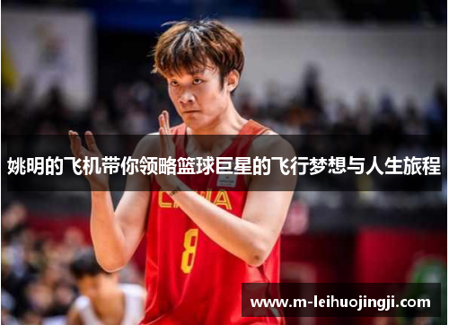 姚明的飞机带你领略篮球巨星的飞行梦想与人生旅程