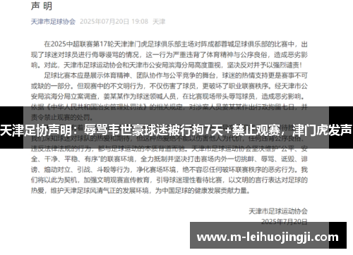 天津足协声明：辱骂韦世豪球迷被行拘7天+禁止观赛，津门虎发声